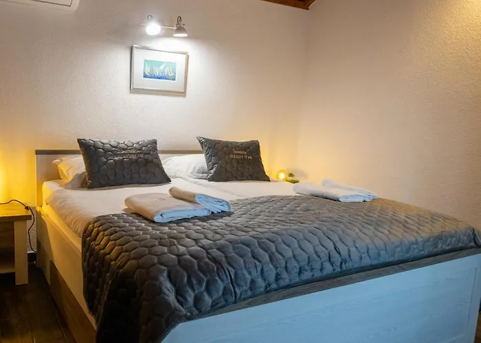 Tatil Evi Svemir