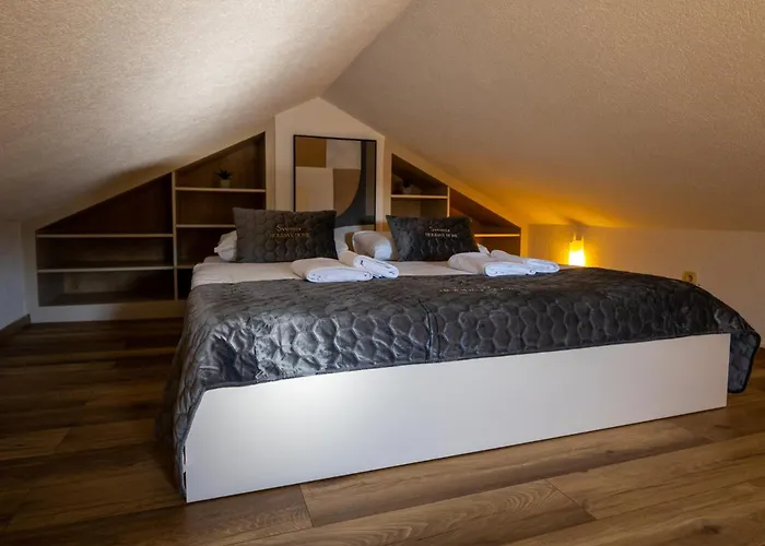 Tatil Evi Svemir *
