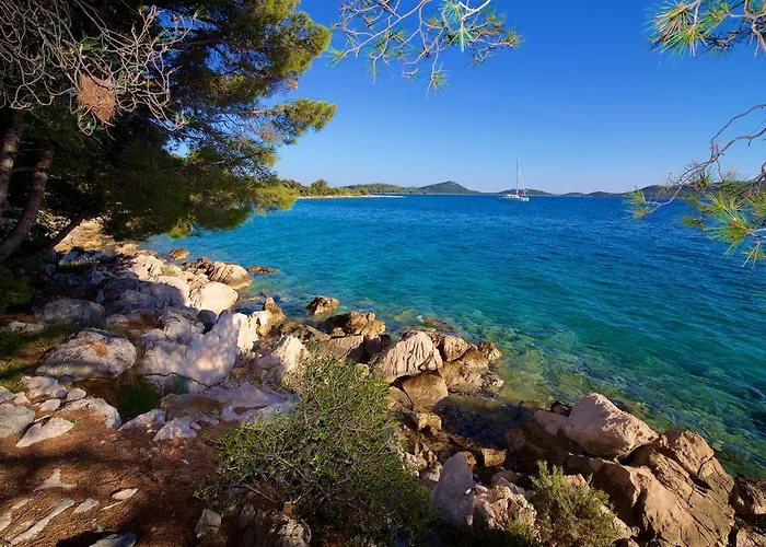 Svemir בית נופש